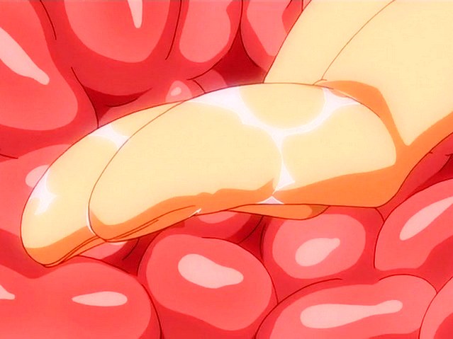Rance 01 Hikari Wo Motomete: vol.2