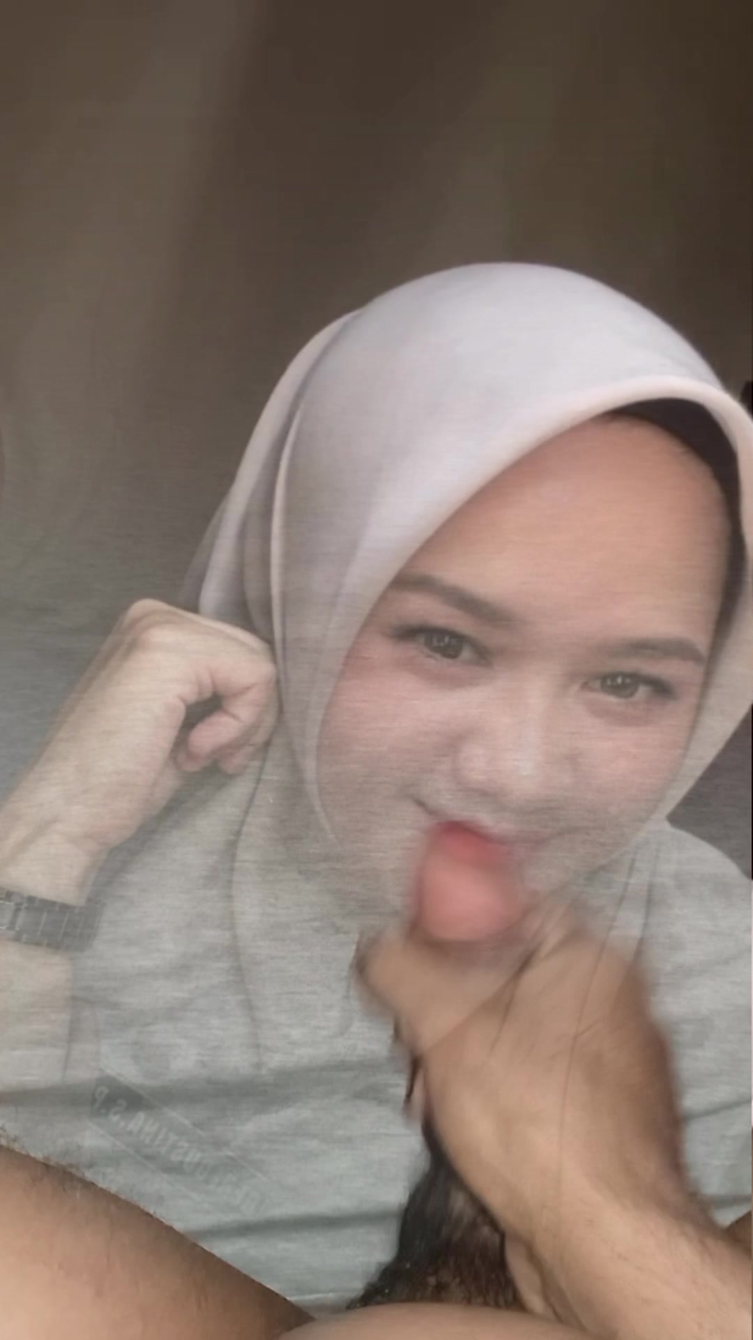 Genigustina minta di coli