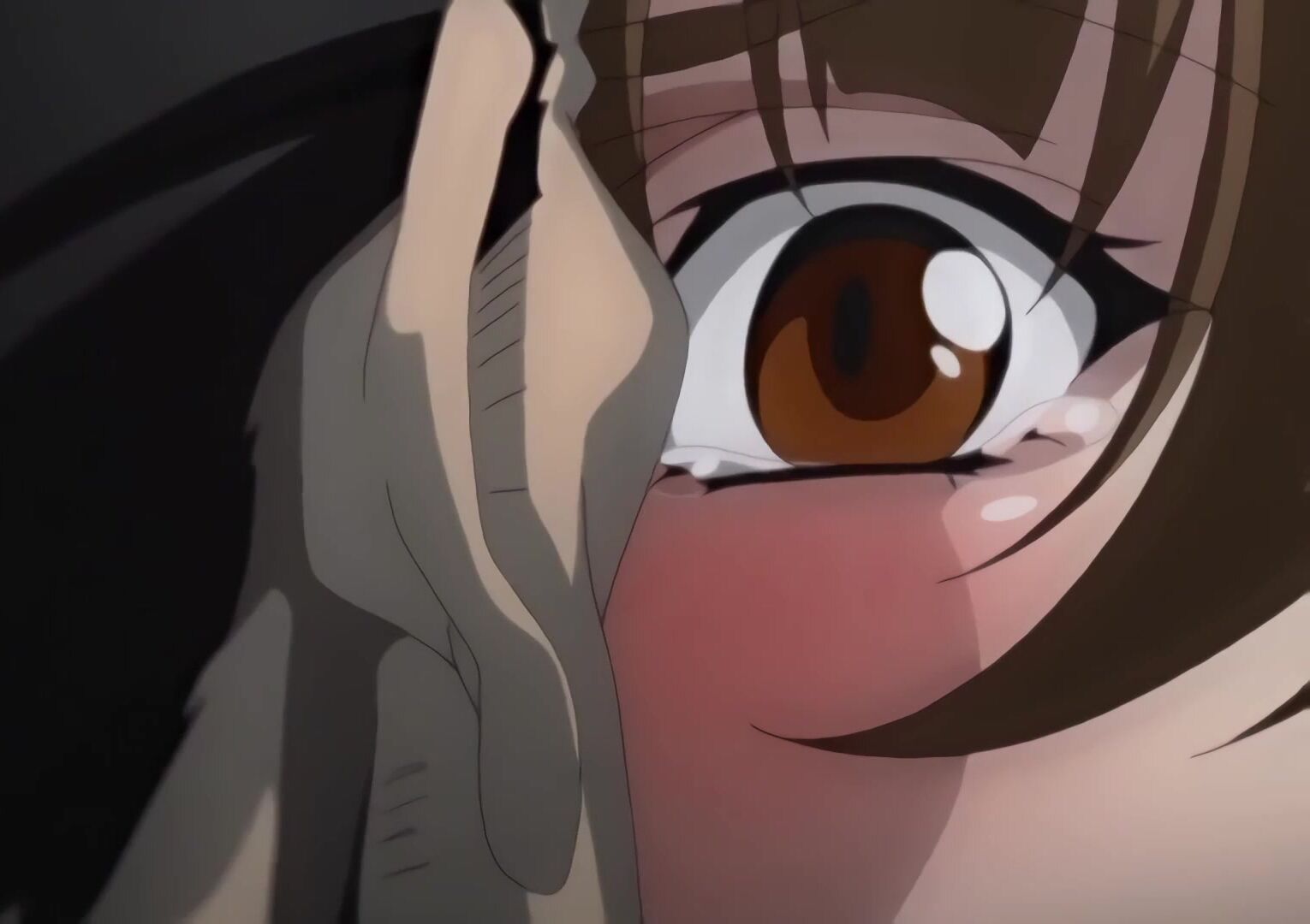 Zoku Tsuma Netori: Ikumi To Shizuka 1